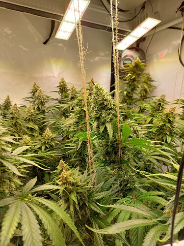 Growreport Bild 3