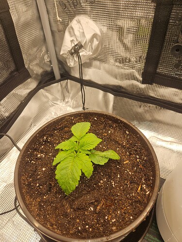 Growreport Bild 8