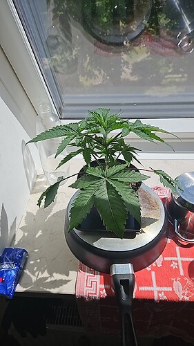 Growreport Bild 18