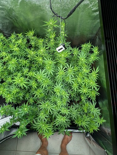Growreport Bild 9