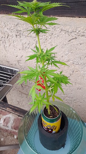 Growreport Bild 9