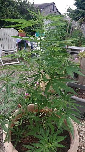 Growreport Bild 71