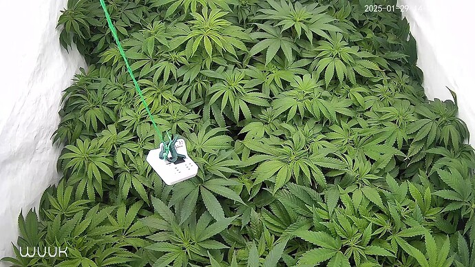 Growreport Bild 2