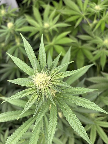 Growreport Bild 10
