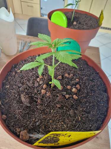 WhatsApp Image 2024-05-24 at 16.08.13 (3)