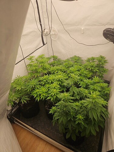 Growreport Bild 4