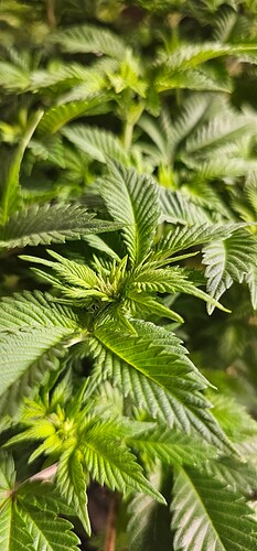 Growreport Bild 12