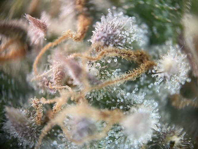 Growreport Bild 22