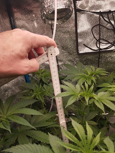 Growreport Bild 9