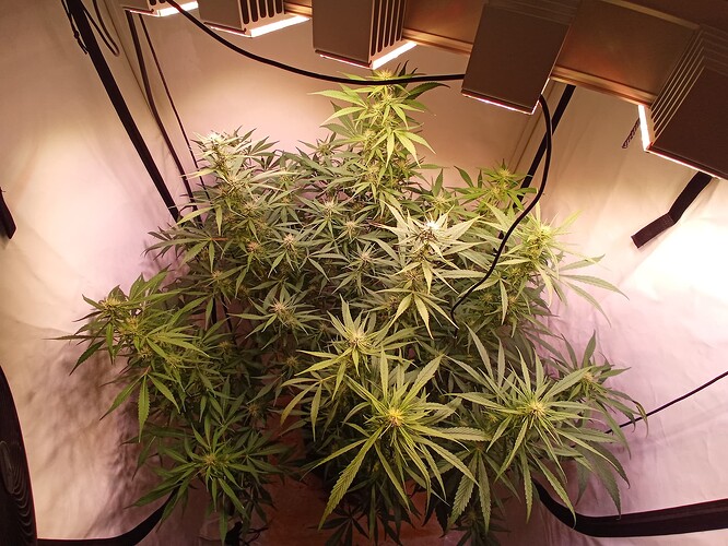 Growreport Bild 10