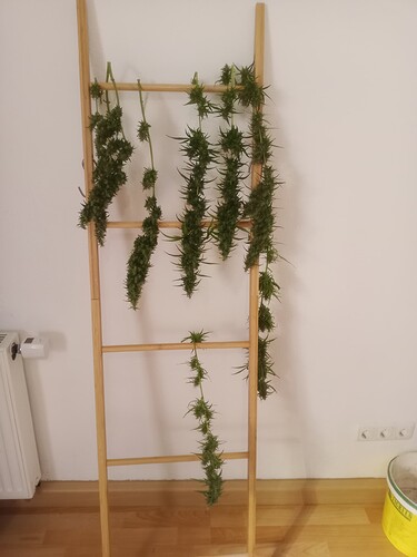 Growreport Bild 9