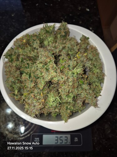 Growreport Bild 4