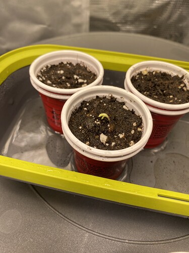 Growreport Bild 12