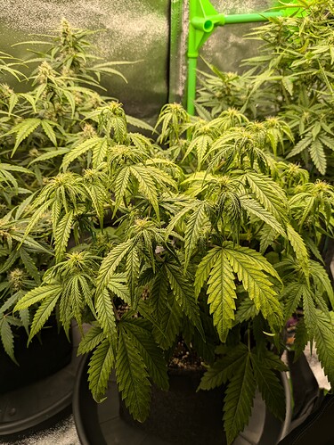 Growreport Bild 19