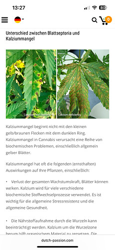 Growreport Bild 22