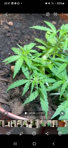 Screenshot_20240604_225132_Gallery