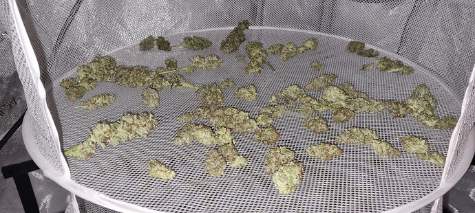 Growreport Bild 57