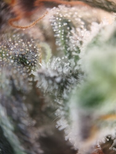Growreport Bild 11