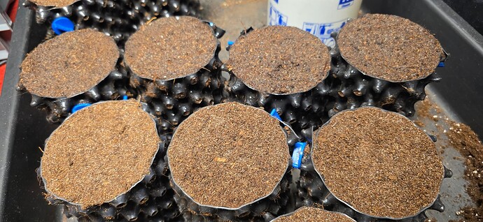 Growreport Bild 6