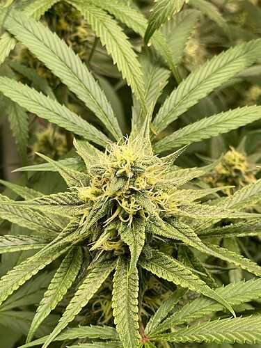 Growreport Bild 12
