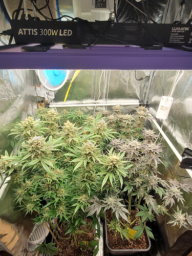 Growreport Bild 6