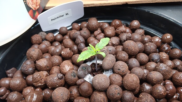 Growreport Bild 14