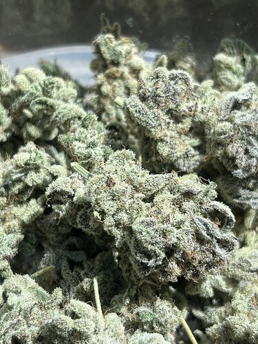 Growreport Bild 64