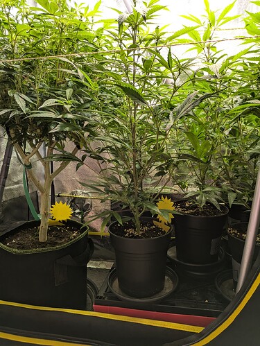 Growreport Bild 17