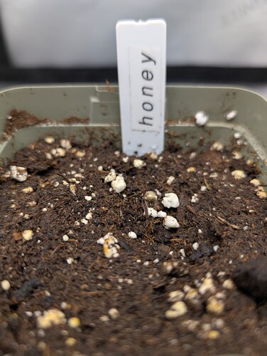 Growreport Bild 12