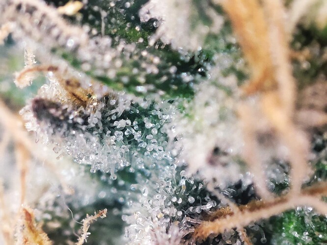 Growreport Bild 11
