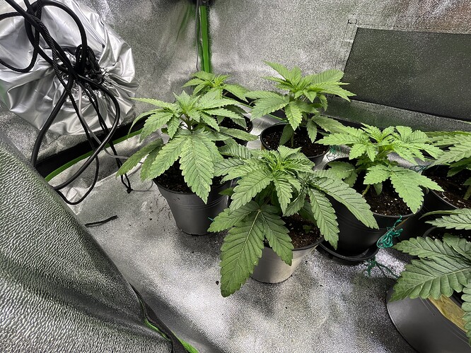 Growreport Bild 9