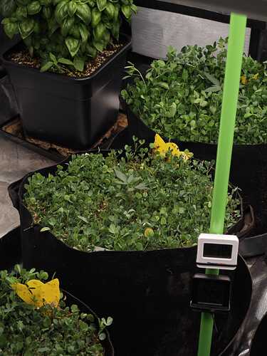 Growreport Bild 6
