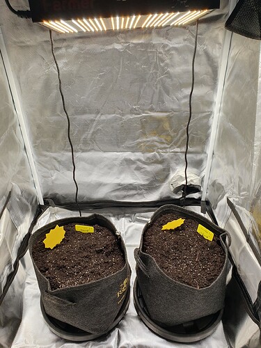Growreport Bild 2