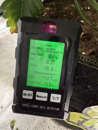 Growreport Bild 1