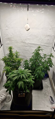 Growreport Bild 8