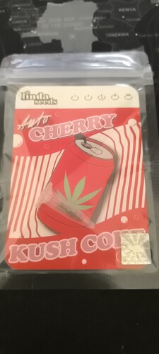 Growreport Bild 5