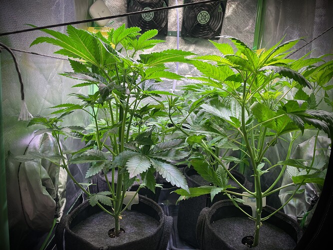Growreport Bild 8