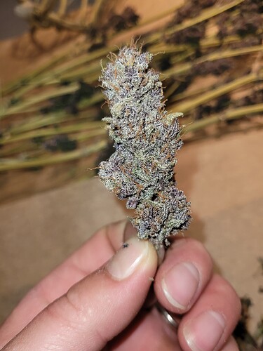 Growreport Bild 19