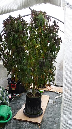 Growreport Bild 3