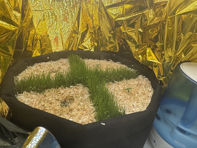 Growreport Bild 1