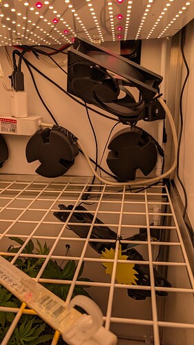 PXL_20250411_075649330.MP