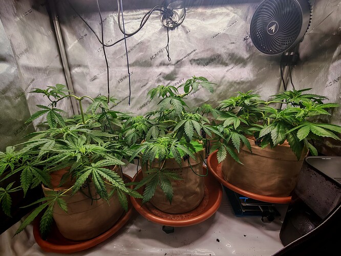 Growreport Bild 8