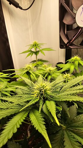 Growreport Bild 10