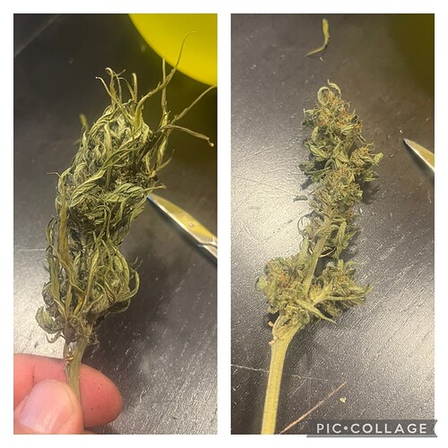 Growreport Bild 20