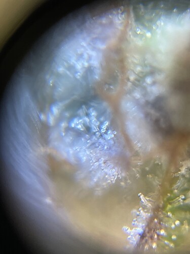 Growreport Bild 11