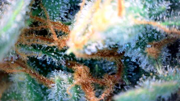 WhatsApp Image 2024-07-15 at 19.24.57 (2)