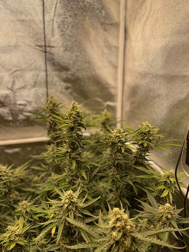 Growreport Bild 17