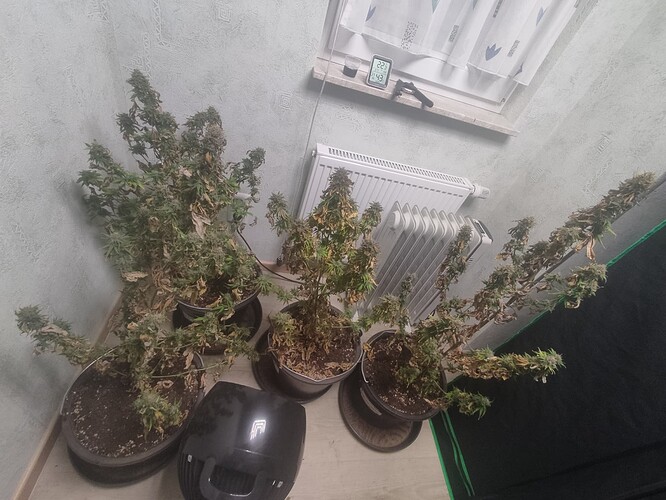 Growreport Bild 4