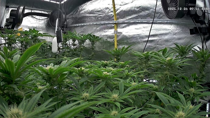 Growreport Bild 14