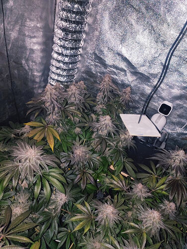Growreport Bild 11